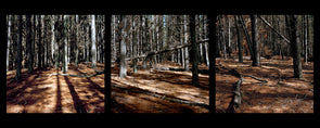 Thirteen reasons to sign-up for our photography mentorship